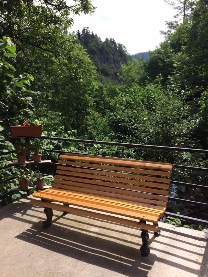 Borjomi Veranda Exteriör bild