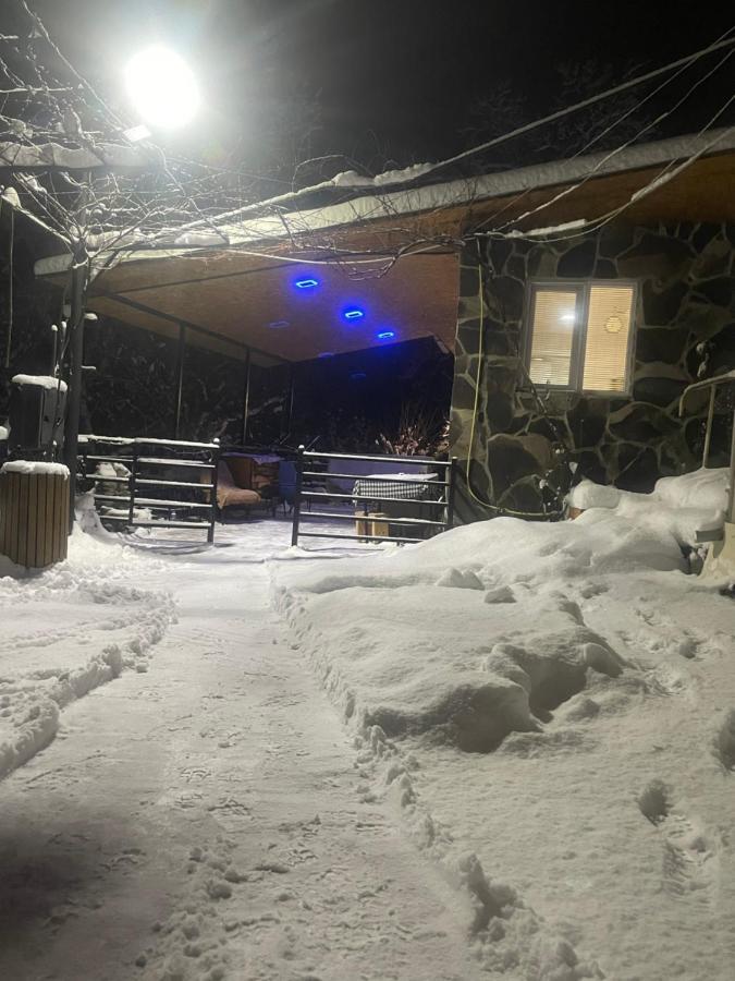 Borjomi Veranda Exteriör bild