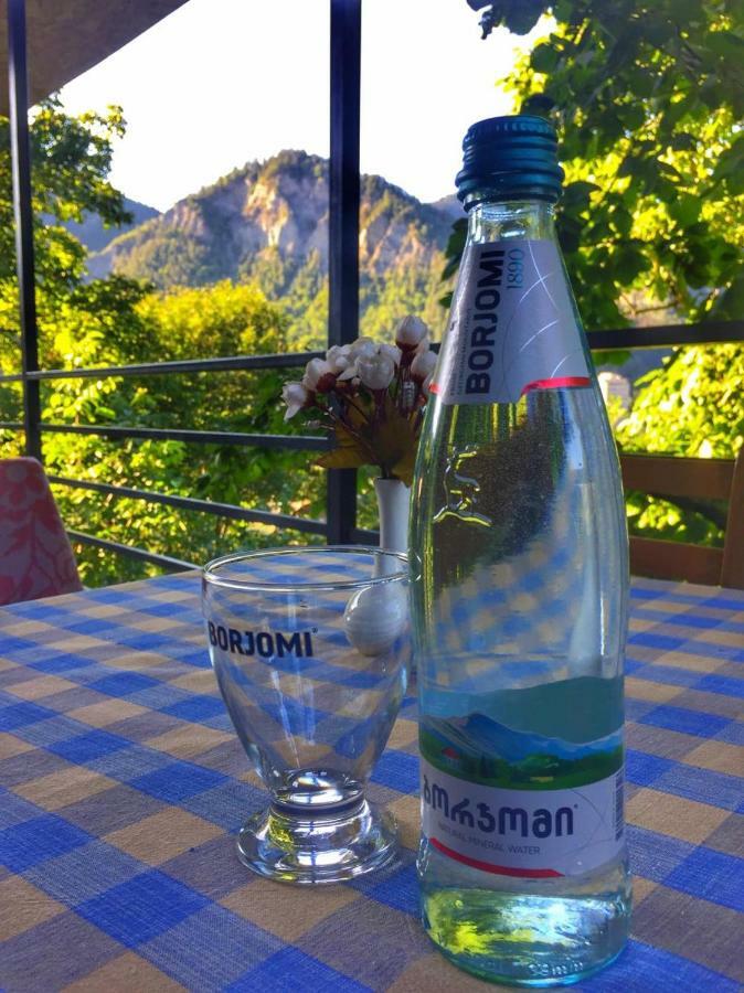 Borjomi Veranda Exteriör bild