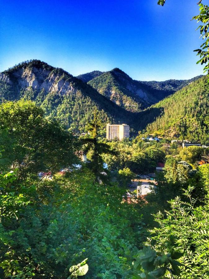 Borjomi Veranda Exteriör bild